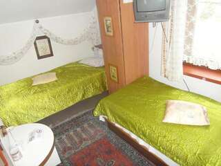 Отели типа «постель и завтрак» Zajazd Polski Висла Двухместный номер с 1 кроватью или 2 отдельными кроватями-4