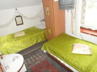 Отели типа «постель и завтрак» Zajazd Polski Висла Двухместный номер с 1 кроватью или 2 отдельными кроватями-11